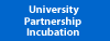 University Partnership Incbation